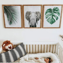Elephant Gallery Walls